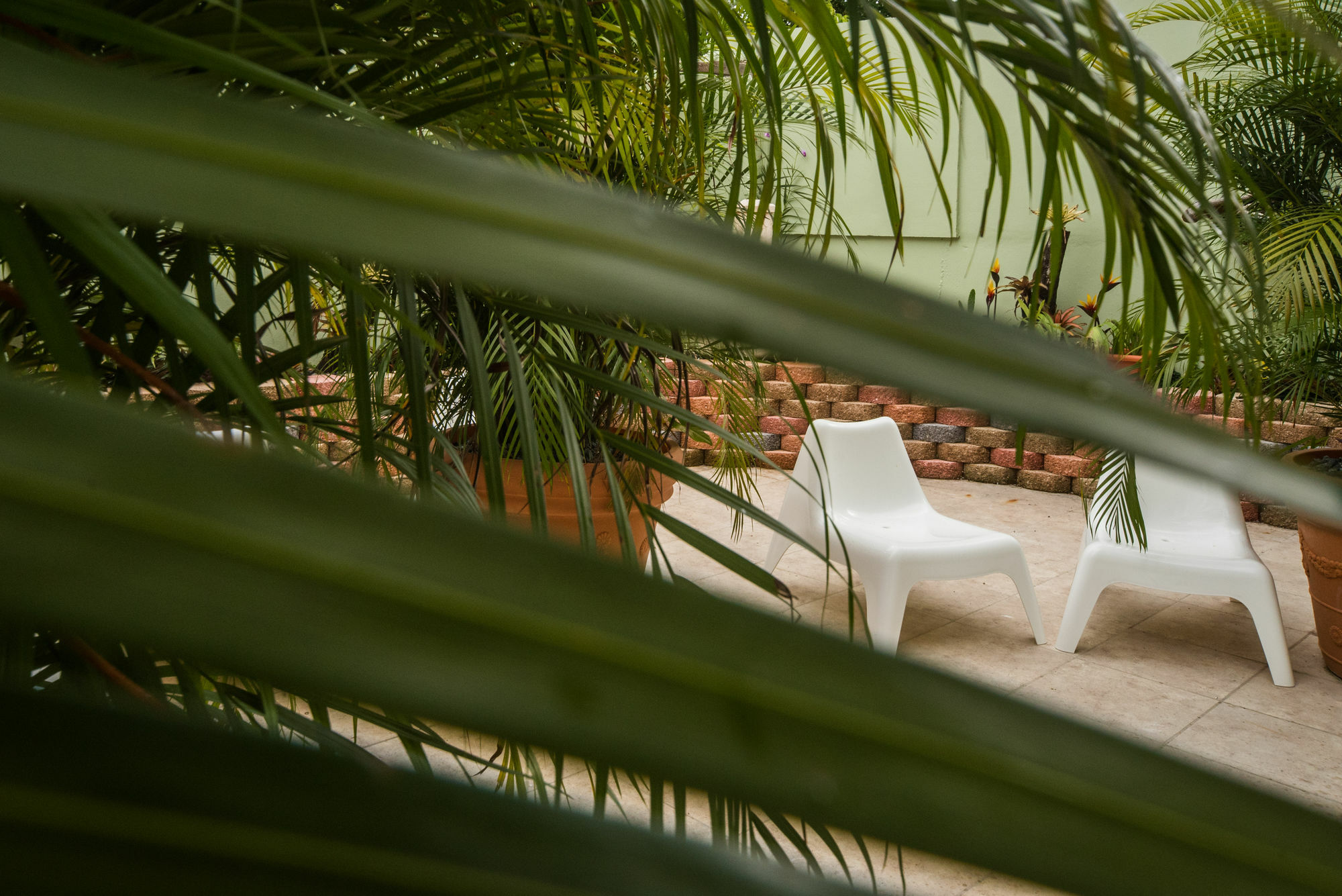 Rincon Plaza Hotel ภายนอก รูปภาพ